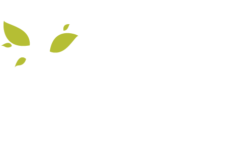 Bay Tree Chiropractic